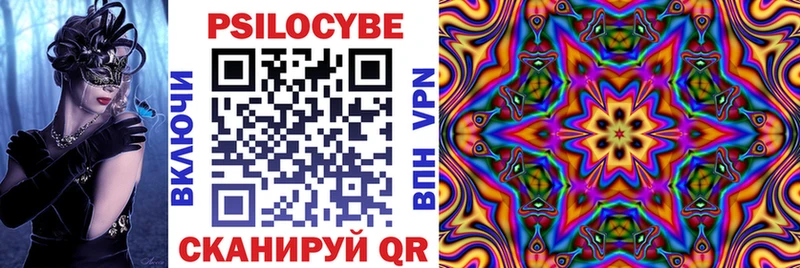 цены наркотик  Полтавская  кракен ССЫЛКА  Галлюциногенные грибы Psilocybe 